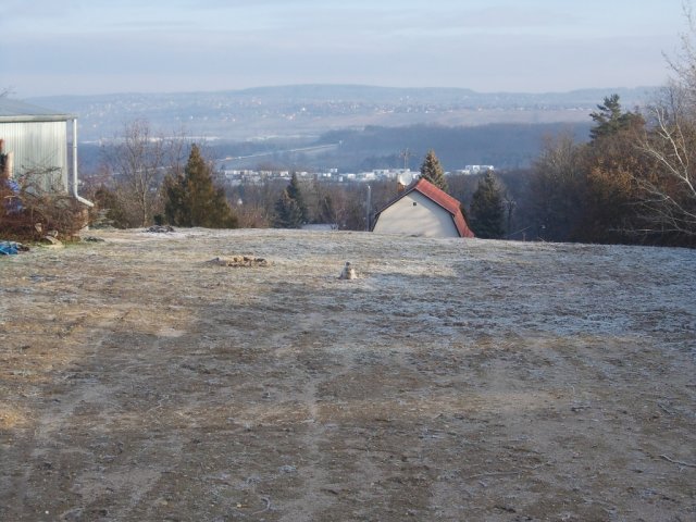 Eladó telek, Mogyoródon 39.999 M Ft / költözzbe.hu