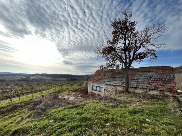 Eladó nyaraló, Balatonszőlősön 14.99 M Ft, 1 szobás