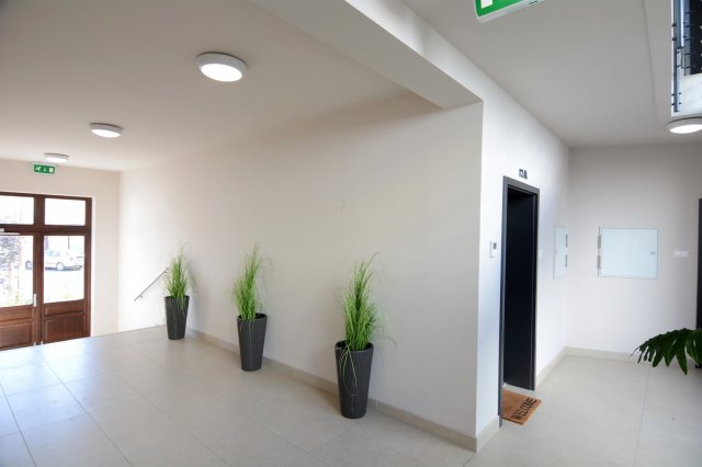 Kiadó téglalakás, albérlet, Kecskeméten 330 E Ft / hó