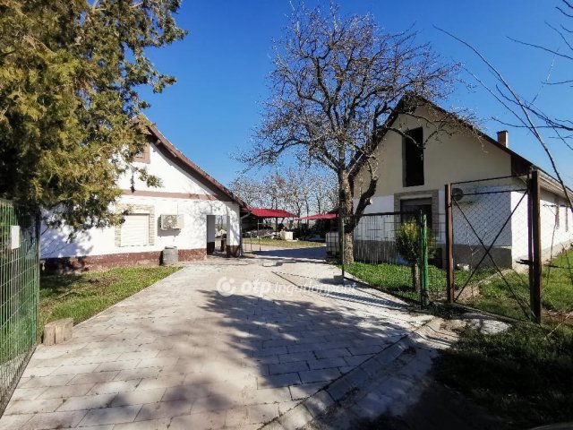 Eladó családi ház, Dömsödön 96 M Ft, 11 szobás