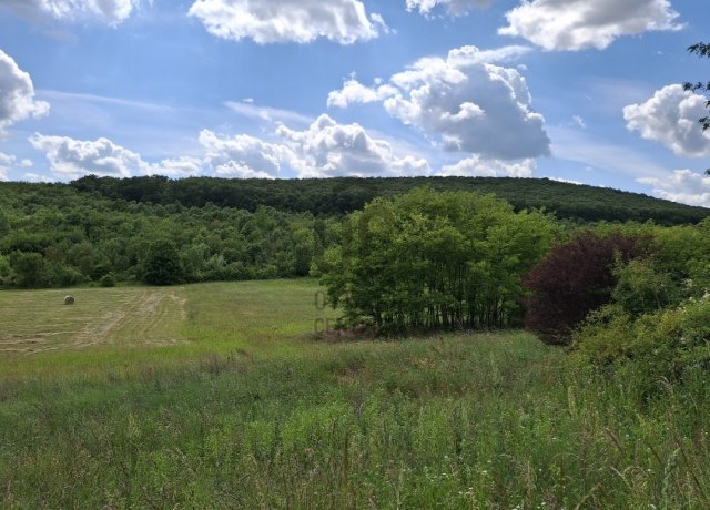 Eladó mezogazdasagi ingatlan, Törökbálinton 16.5 M Ft