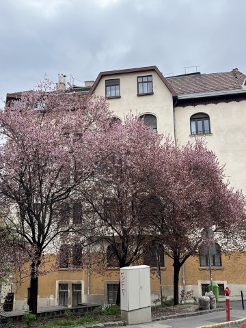 Eladó téglalakás, Budapesten, I. kerületben 199 M Ft, 3 szobás