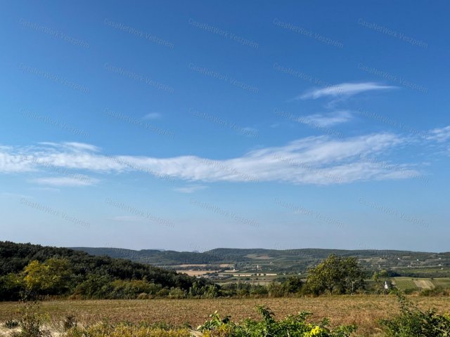 Eladó mezogazdasagi ingatlan, Mencshelyen 10 M Ft