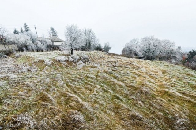 Eladó családi ház, Érden 300 M Ft, 3 szobás