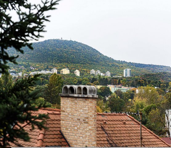 Eladó telek, Budapesten, II. kerületben 370 M Ft