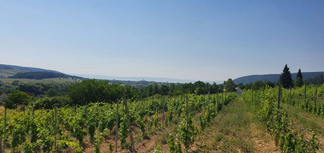 Eladó telek, Balatoncsicsón 39 M Ft / költözzbe.hu