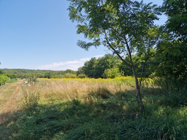 Eladó telek, Balatonberényben, Ady Endre utcában 10 M Ft