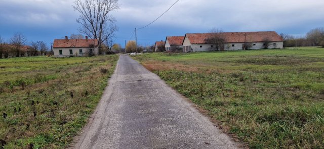 Eladó telek, Kisteleken 50 M Ft / költözzbe.hu