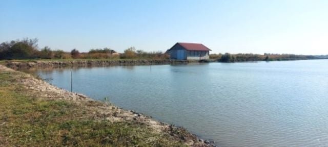 Eladó mezogazdasagi ingatlan, Gyulán 300 M Ft