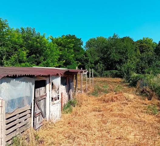 Eladó családi ház, Tiszaeszláron 5 M Ft, 2 szobás