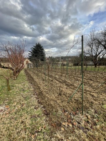 Eladó nyaraló, Sárváron 8.2 M Ft, 1 szobás