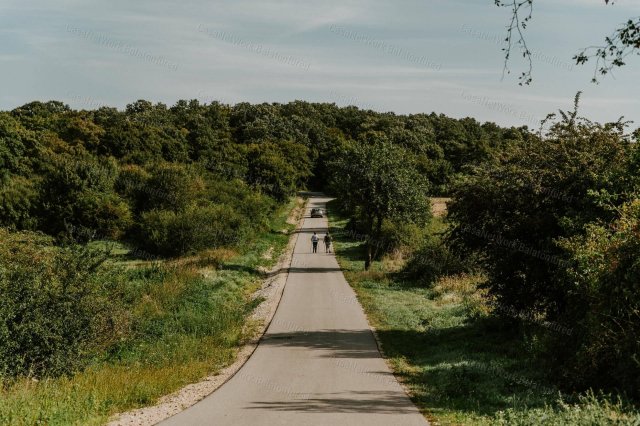 Eladó mezogazdasagi ingatlan, Balatonszőlősön 4.8 M Ft