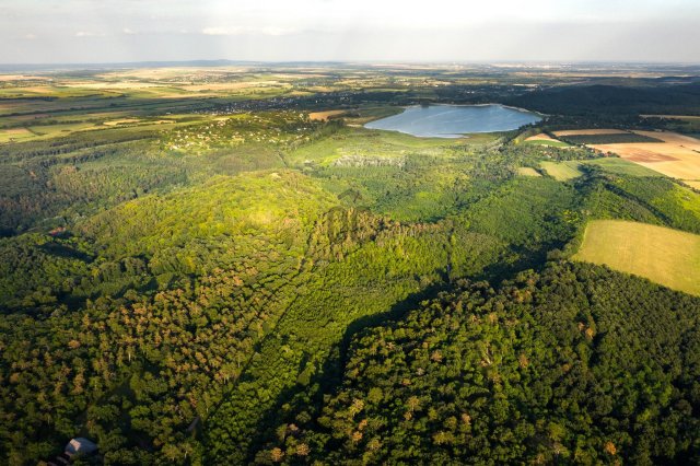 Eladó családi ház, Fehérvárcsurgón 395 M Ft, 6 szobás
