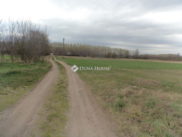 Eladó telek, Pilisen 230 M Ft / költözzbe.hu
