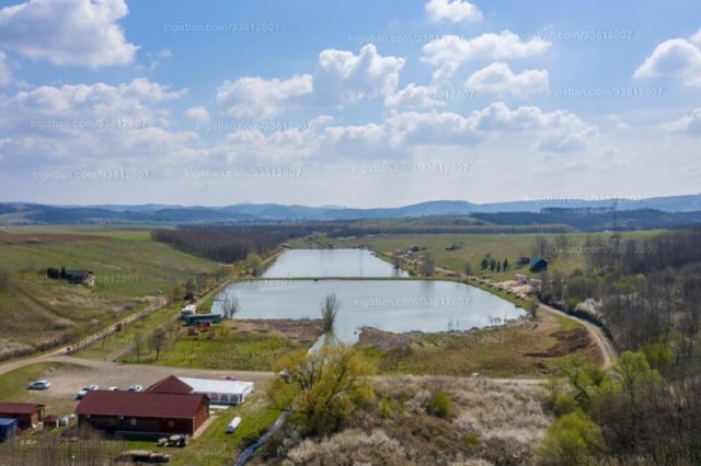 Eladó mezogazdasagi ingatlan, Tereskén 458 M Ft, 11 szobás