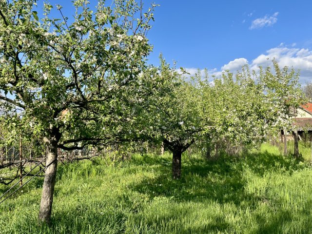 Eladó családi ház, Érden 42.5 M Ft, 2 szobás