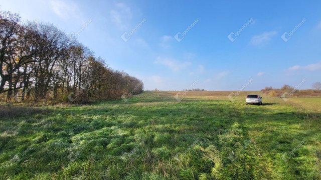 Eladó mezogazdasagi ingatlan, Mezőkövesden 107 M Ft