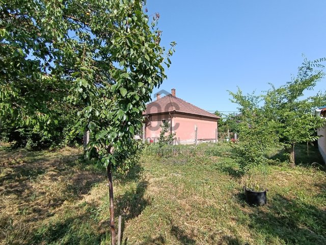 Eladó családi ház, Szigethalmon 43 M Ft, 2 szobás