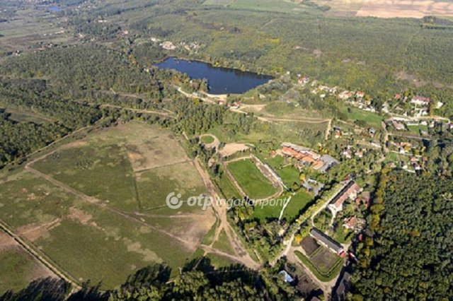 Eladó mezogazdasagi ingatlan, Domonyban 634 M Ft