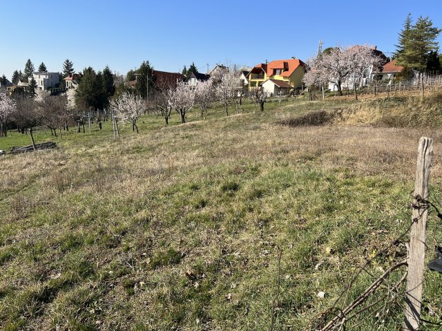 Eladó telek, Pécsett, Dongó dűlőn 9.9 M Ft