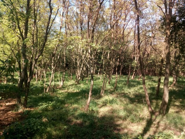 Eladó telek, Pécsett 4.7 M Ft / költözzbe.hu