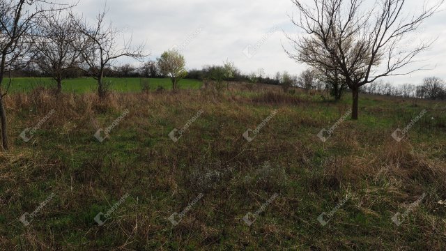 Eladó családi ház, Tolnanémedin 7.7 M Ft, 4 szobás