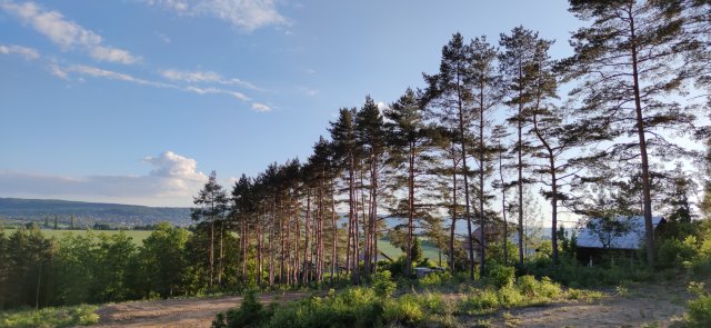 Eladó telek, Pilisborosjenőn, Nyúl utcában 60 M Ft