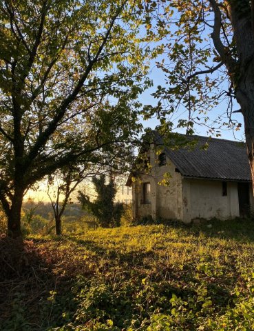 Eladó telek, Zalaegerszegen 7.5 M Ft / költözzbe.hu