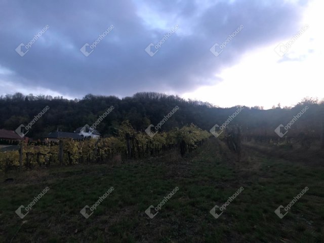 Eladó telek, Győrújbaráton 31.9 M Ft / költözzbe.hu