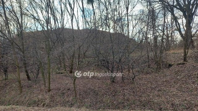 Eladó telek, Tarjánpusztán 1000 M Ft / költözzbe.hu