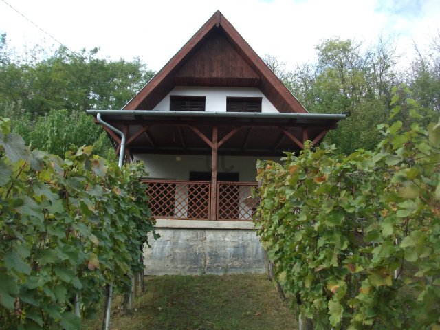 Eladó mezogazdasagi ingatlan, Szekszárdon 7.9 M Ft, 1 szobás