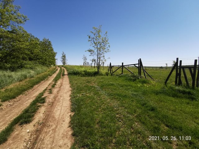 Eladó telek, Harkán 125 M Ft / költözzbe.hu