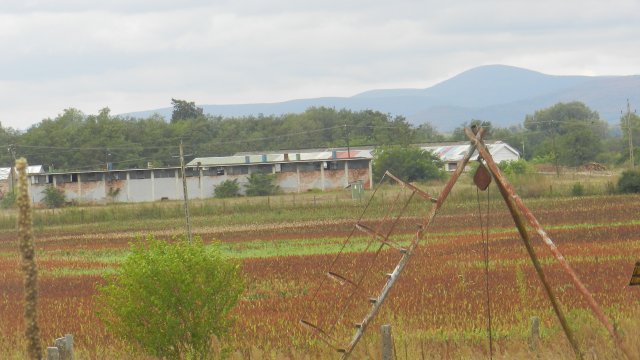 Eladó mezogazdasagi ingatlan, Sárospatakon 934 M Ft