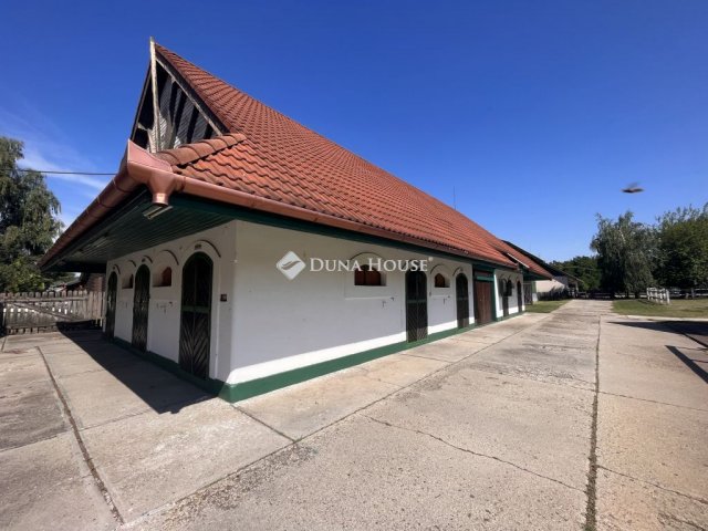Eladó mezogazdasagi ingatlan, Kecskeméten 135 M Ft, 16 szobás