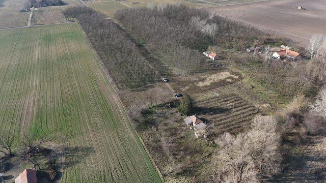 Eladó mezogazdasagi ingatlan, Nyársapáton 12 M Ft