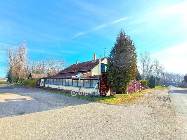 Eladó családi ház, Abonyban 150 M Ft, 8 szobás
