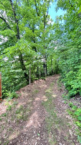 Eladó nyaraló, Pécsett 19.9 M Ft, 1 szobás