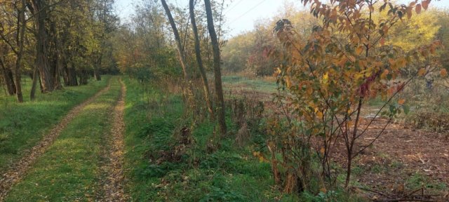 Eladó telek, Pusztavacson 7.5 M Ft / költözzbe.hu