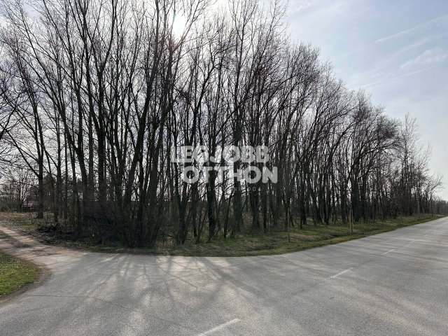 Eladó telek, Cegléden 60 M Ft / költözzbe.hu