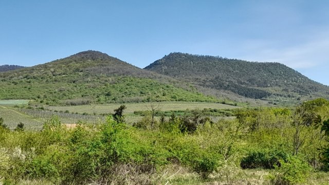 Eladó telek, Sátoraljaújhelyen 39 M Ft / költözzbe.hu