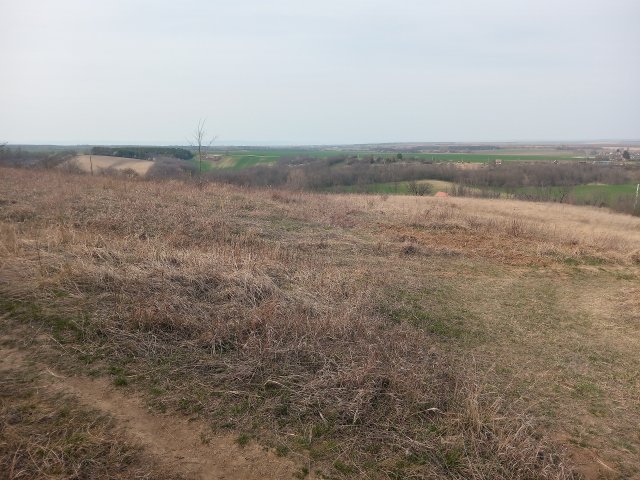 Eladó telek, Ságváron 8 M Ft / költözzbe.hu