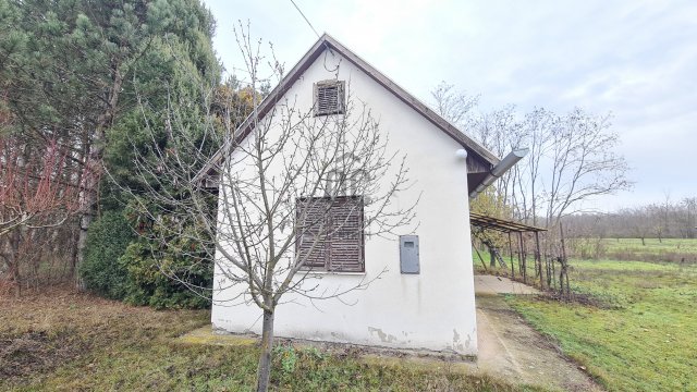 Eladó mezogazdasagi ingatlan, Pakson 18.5 M Ft