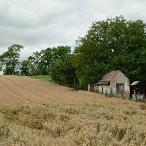 Eladó családi ház, Tengődön 12.5 M Ft, 2 szobás