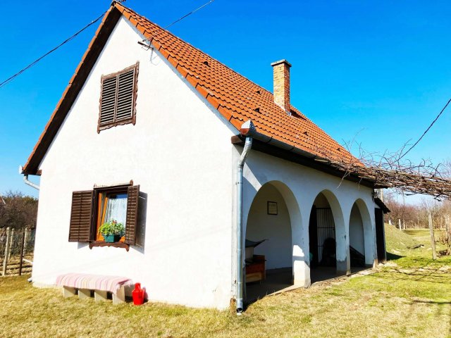 Eladó mezogazdasagi ingatlan, Monoron 19.9 M Ft, 1 szobás