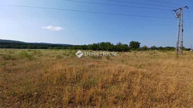 Eladó mezogazdasagi ingatlan, Balatonudvariban 39.9 M Ft