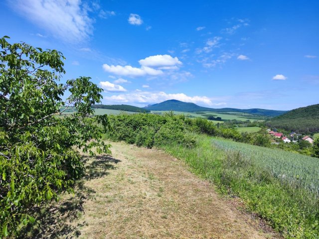 Eladó telek, Rádon 29.9 M Ft / költözzbe.hu