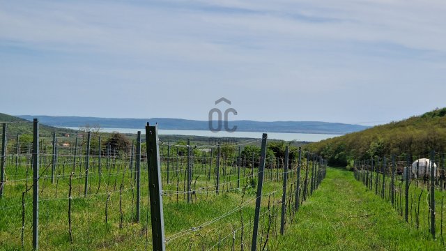Eladó telek, Balatoncsicsón 47 M Ft / költözzbe.hu