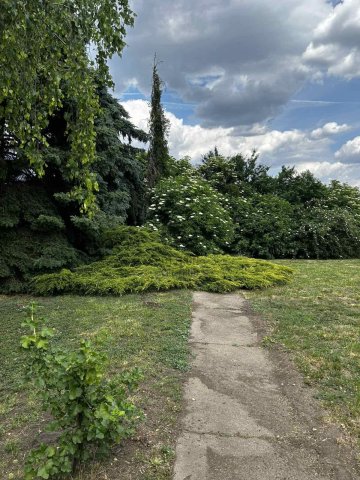 Eladó családi ház, Martonvásáron 87.5 M Ft, 5 szobás