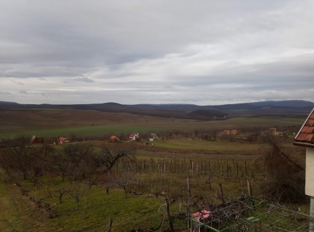 Eladó mezogazdasagi ingatlan, Bajnán 12.5 M Ft, 1 szobás