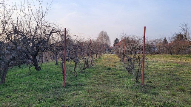 Eladó telek, Ceglédbercelen 13.8 M Ft / költözzbe.hu